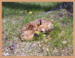 Snooze time