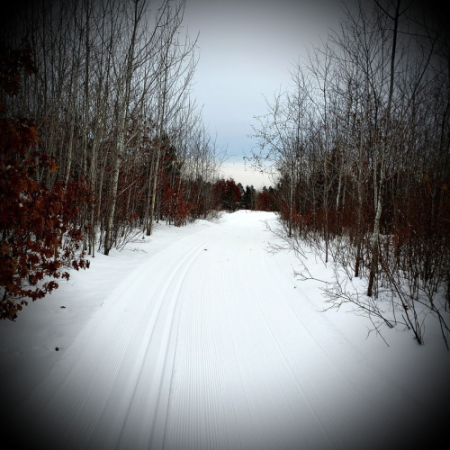 tomahawkPark-skiTrail